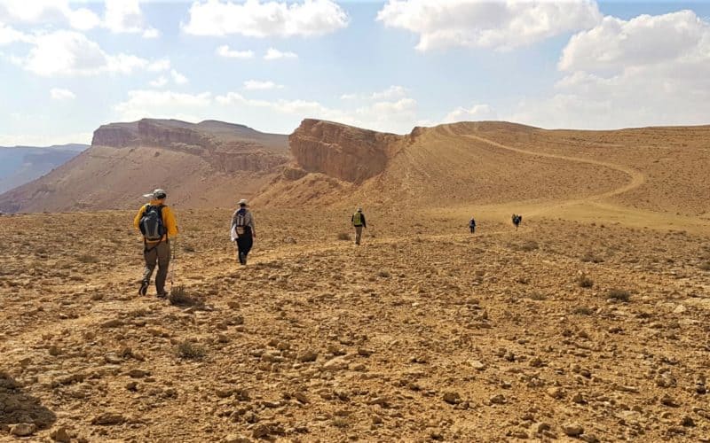 טרקים בישראל למיטיבי לכת